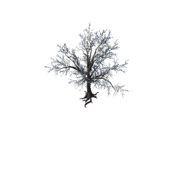 SM_Veg_Tree_01 (2)